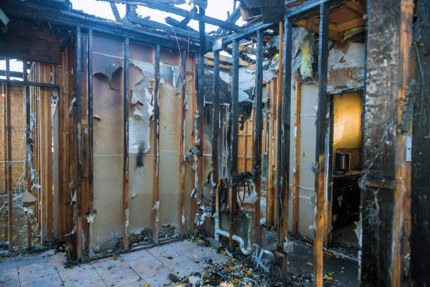 Professional Fire Damage Removal technician working in Henderson, MN
