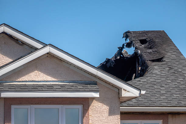 Top rated local Fire Damage Removal specialists in Henderson, MN